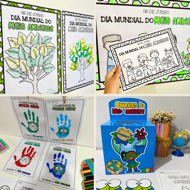 atividade Meio Ambiente