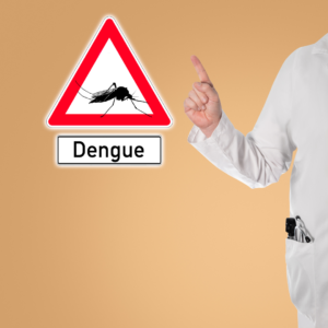 prevenção do mosquito da dengue